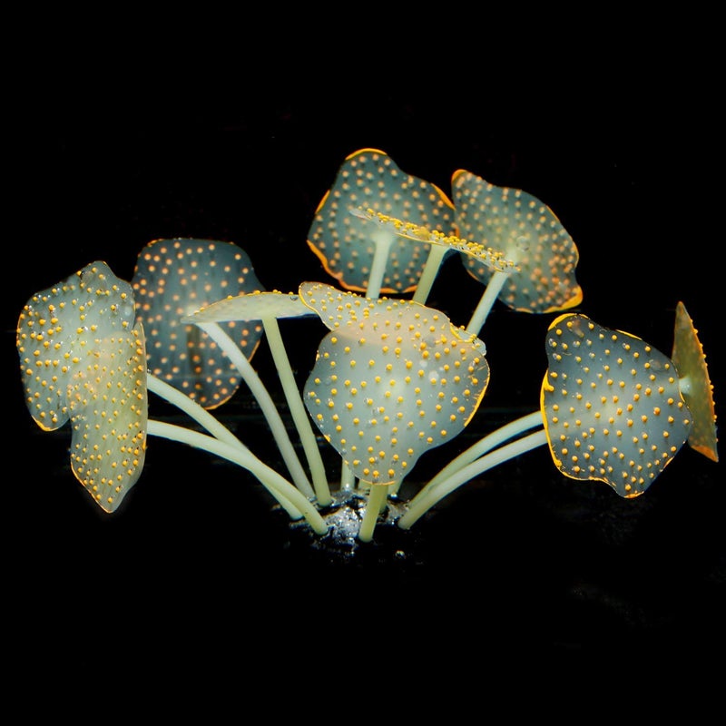 Uniclife Silicone Coral Plant Decorations Glowing Artificial Ornament for Fish Tank Aquarium, Orange, Ball Shape Glow Fish Tank Decorations for Betta Fish - Image 2